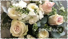 produce